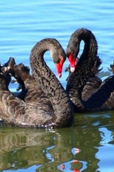 Лариса Очкан