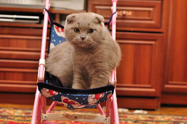 Юлия Погудина