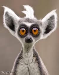 Игорь Леоненко