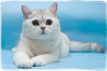 Татьяна Острякова