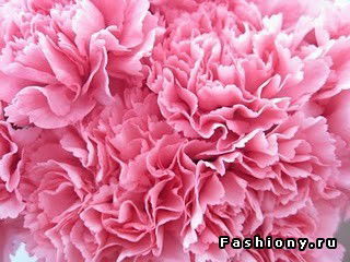 Чолпона Абдылдаева