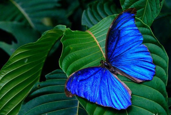 Марина Недорезова