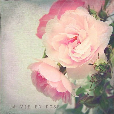 Алина Малышева