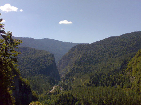 Джемал Трапш