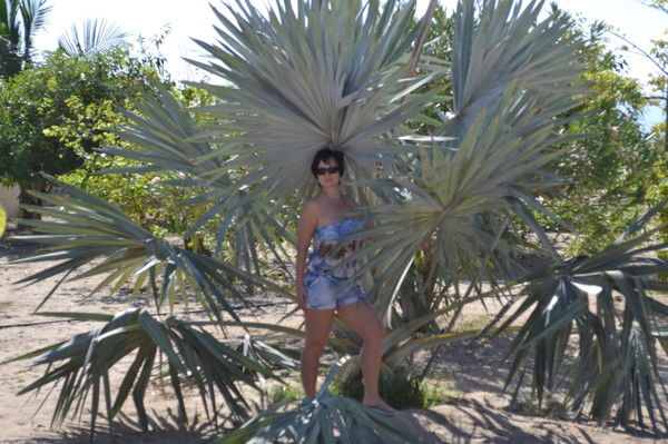 Нина Карпова