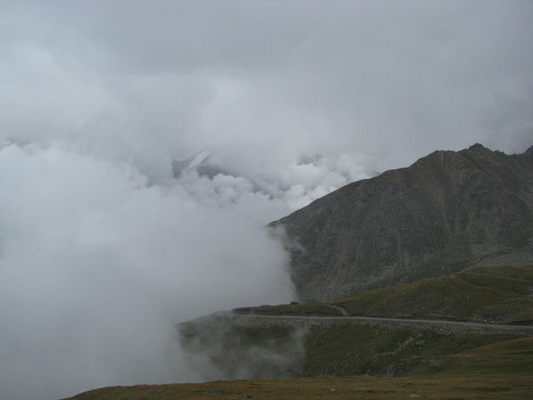 Салима Есмуханова