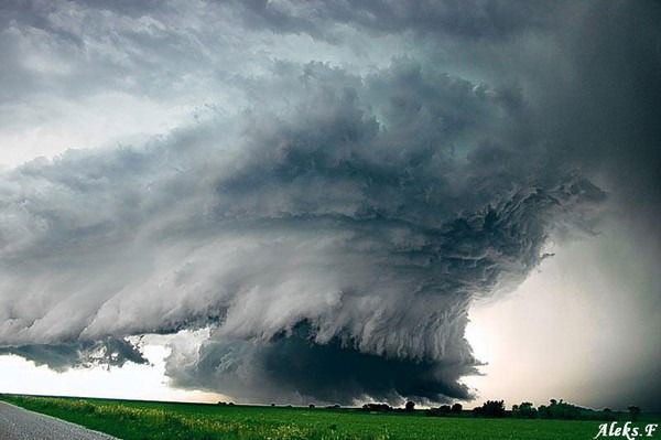 Рашад Надиров