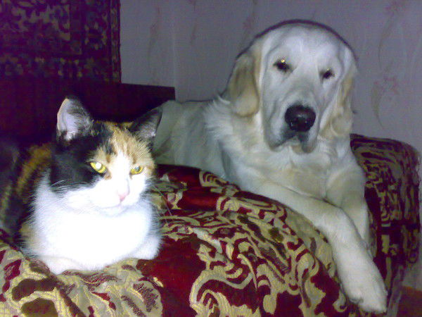 Кузнецов Александр