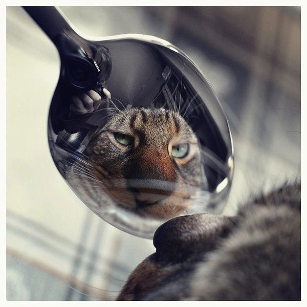 Руслан Амирян