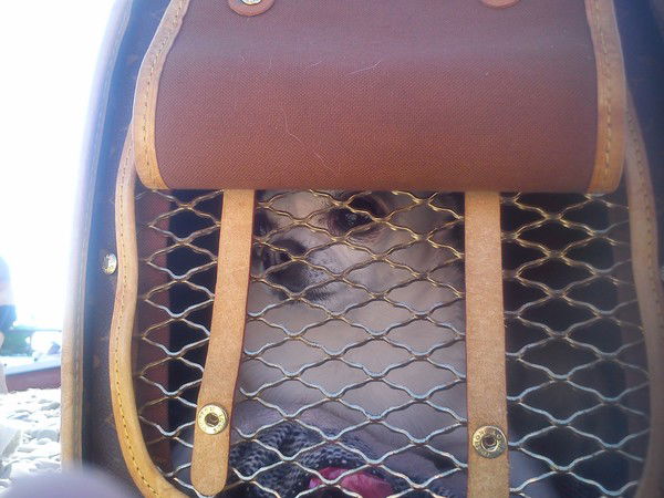 Ирина Ежелева