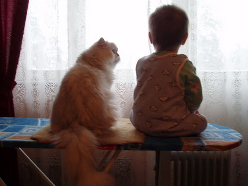 Егор Скуридин