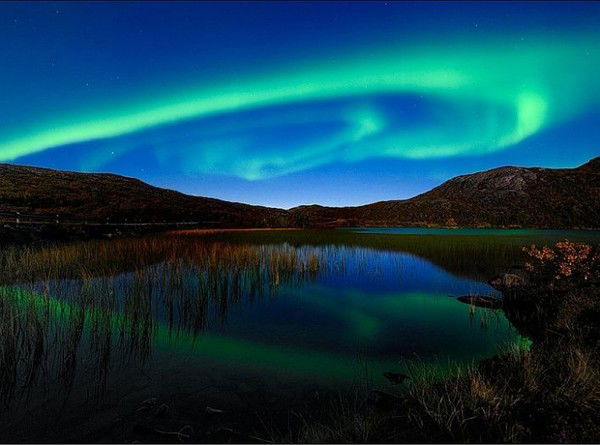 Ксения Голосова