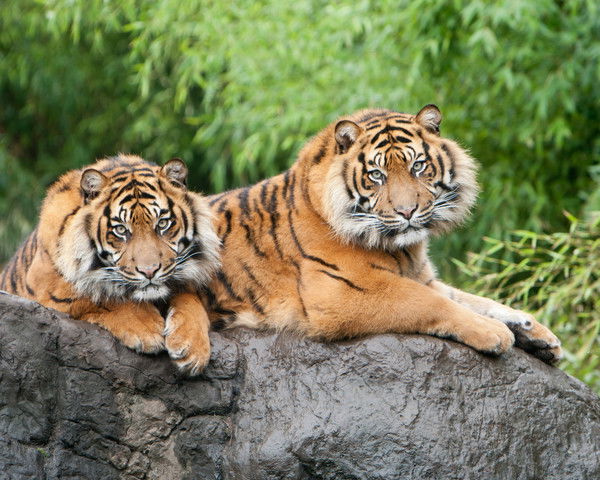 Виталя Жирнаков