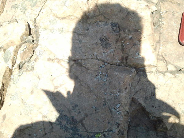 Геннадий Матвеев