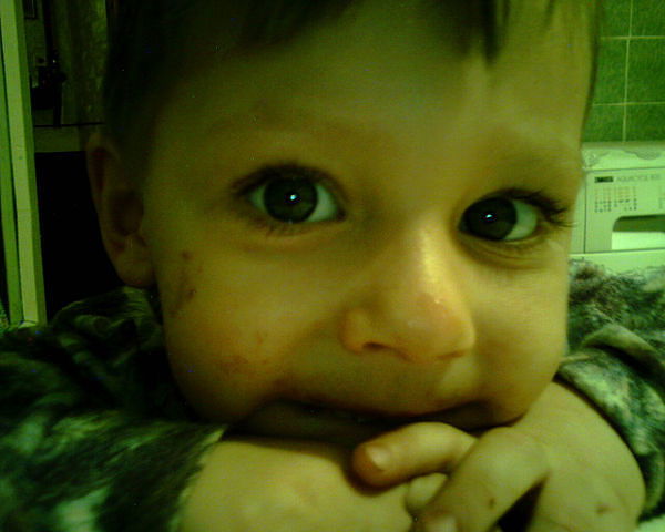 Елена Аносова