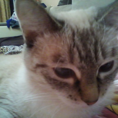 Полина Жукова