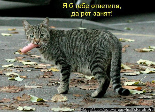 Шенец Тамара