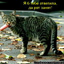 Шенец Тамара