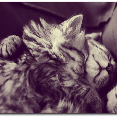 Варвара Бринёва