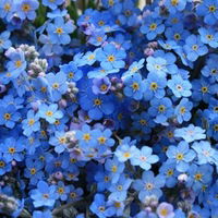 Людмила Минина