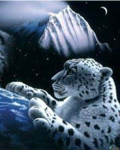 Мария Томилова