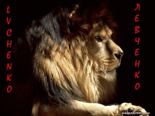 Олег Левченко