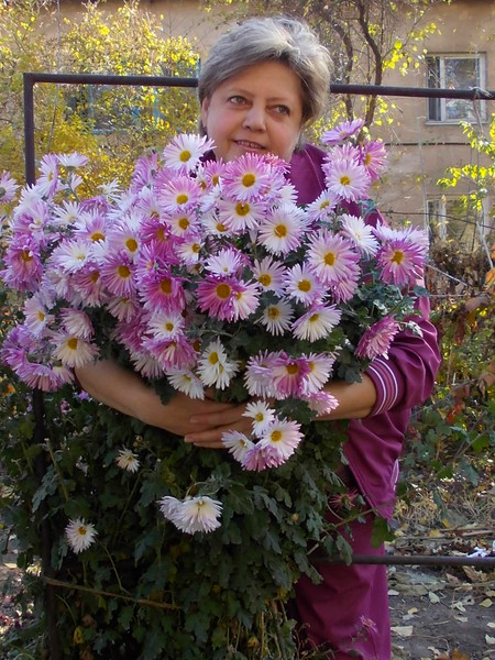 Инесса Добровольская