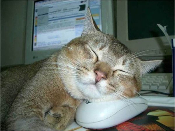 Андрей Александров