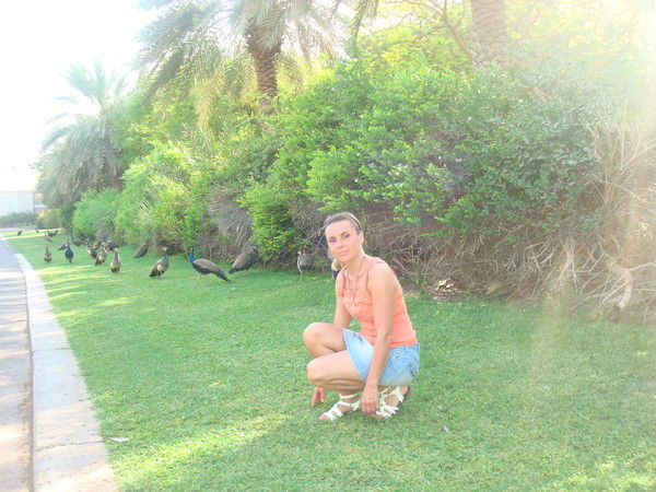 Жанна Сулиз