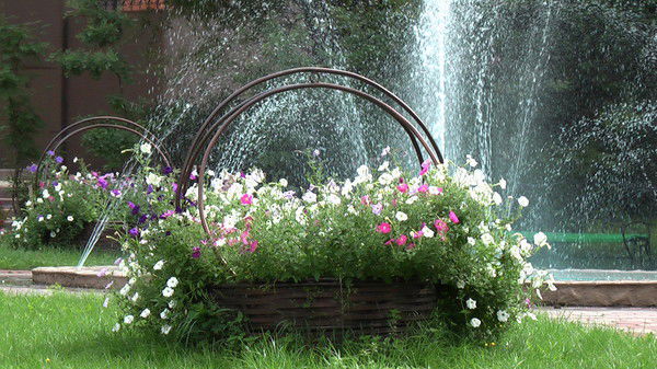 Лилия Никоненко