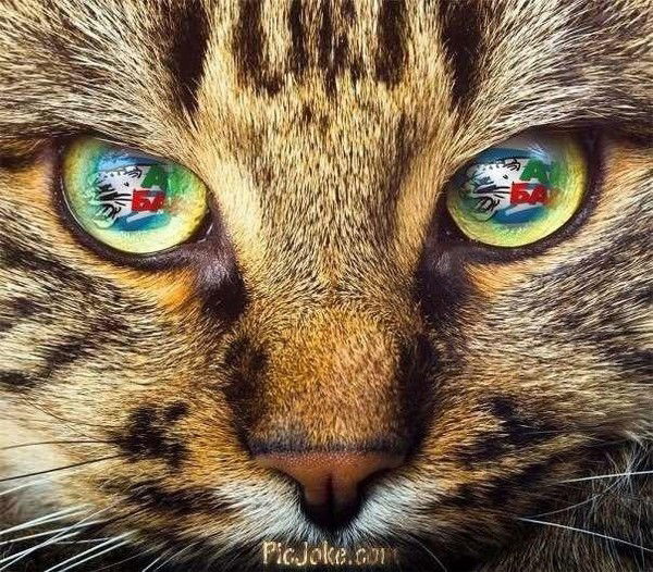 Владимир Александров