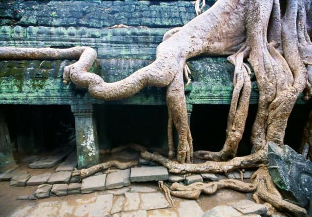 Умochka Мурзаева