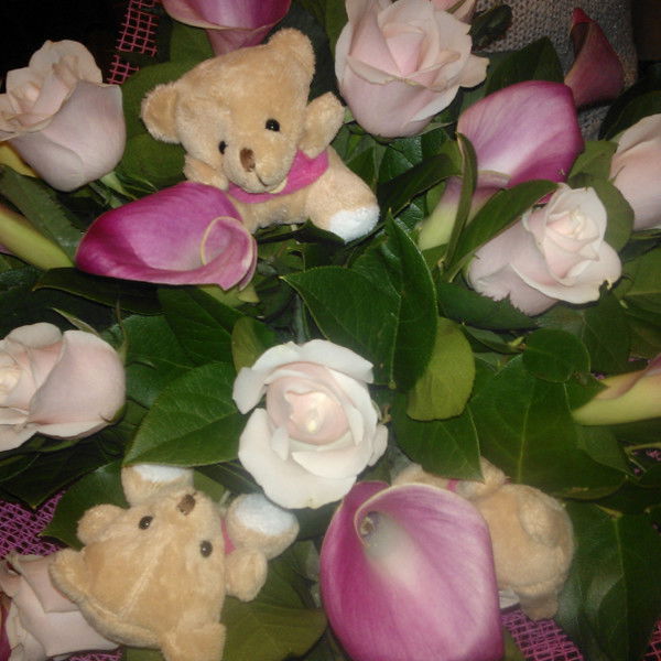 Светлана Галушкина