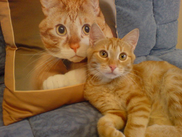 Уханова Катя