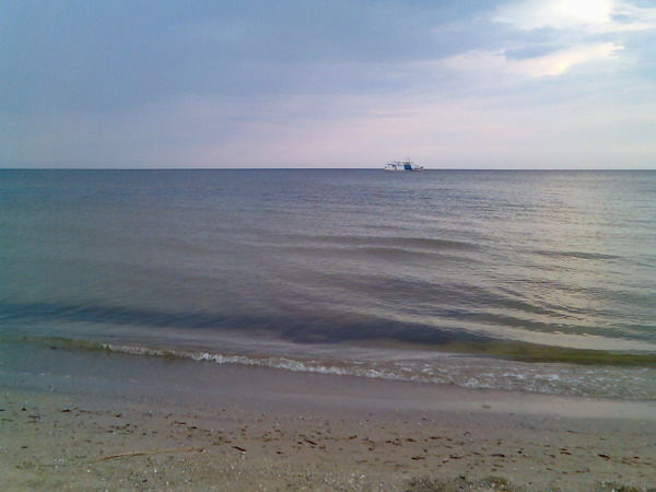 Дмитрий Моторный