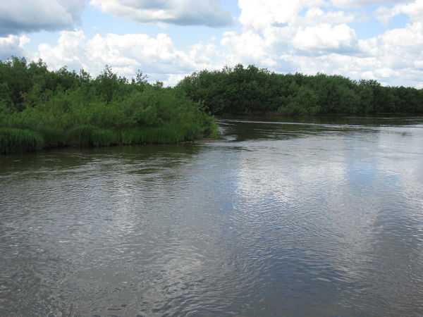 Эмилия Габова