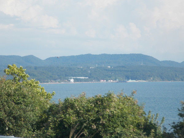 Алексей Браев