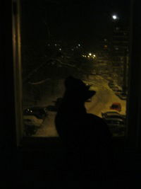 Юлия Газизова