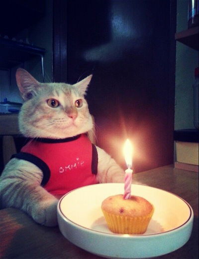 Алёна Севостьянова