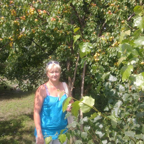 Нaтaшa Дмитровa