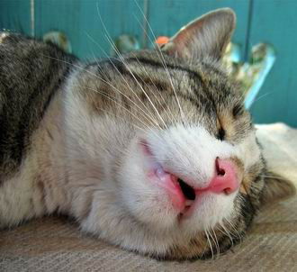 Влад Безбородкин