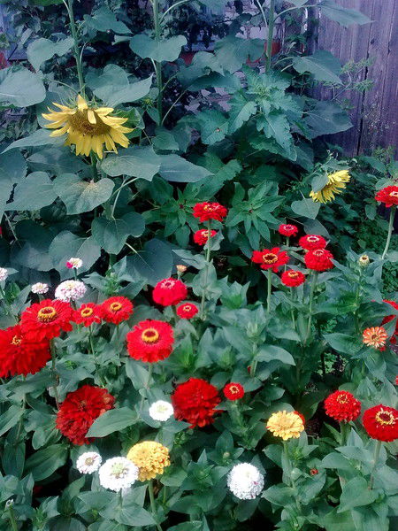 Ермек Уразаков