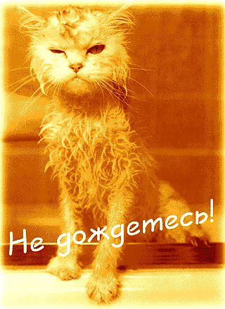 Красавица Красавица