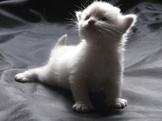 Юра Гаврилов