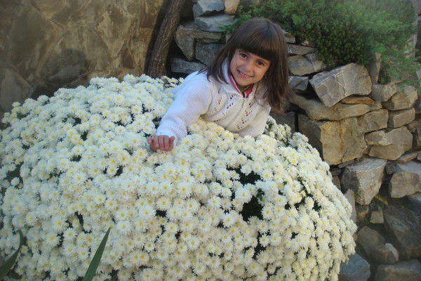 Свтлана Регей