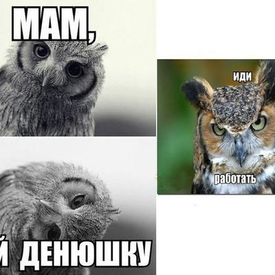 Дарина Катуганова