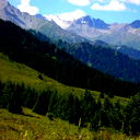 Дауир Сартаев