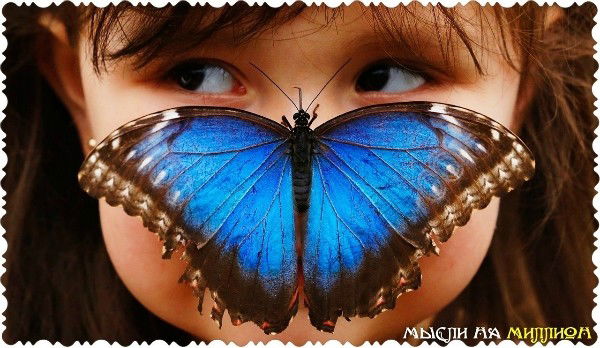 Лена Николаева