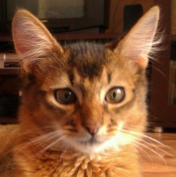 Илнур Хурамшин