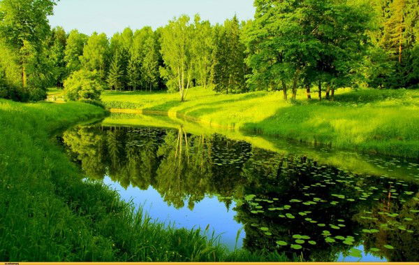 Эдуард Николаев